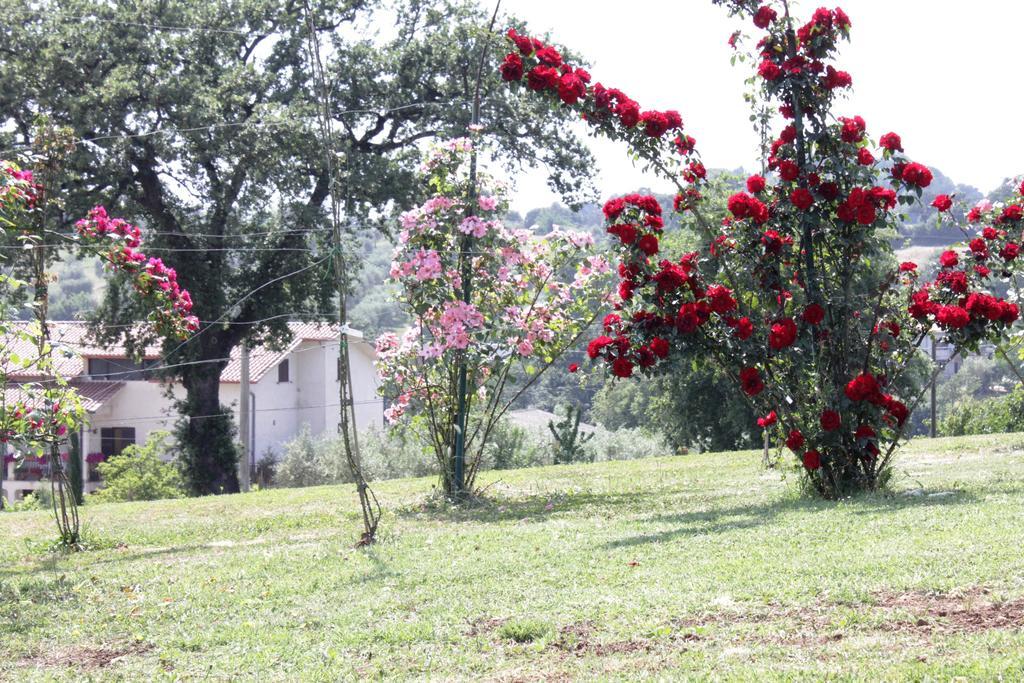 Agriturismo Nociquerceto Villa Tarano Esterno foto