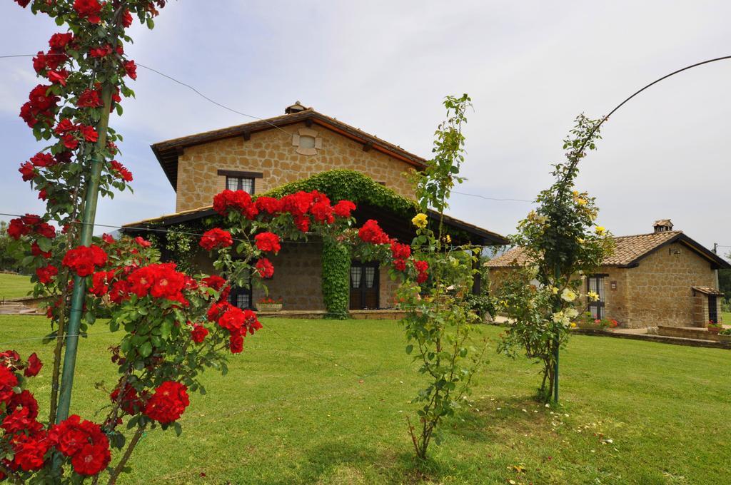 Agriturismo Nociquerceto Villa Tarano Esterno foto